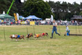 Malton Show 2024